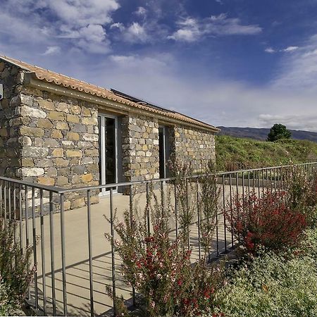 Fig Tree House Villa Calheta  Kültér fotó